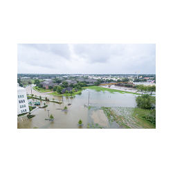 ���͵羺(vkgame)